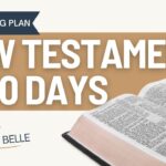 The New Testament in 30 Days: Bible Reading Plan