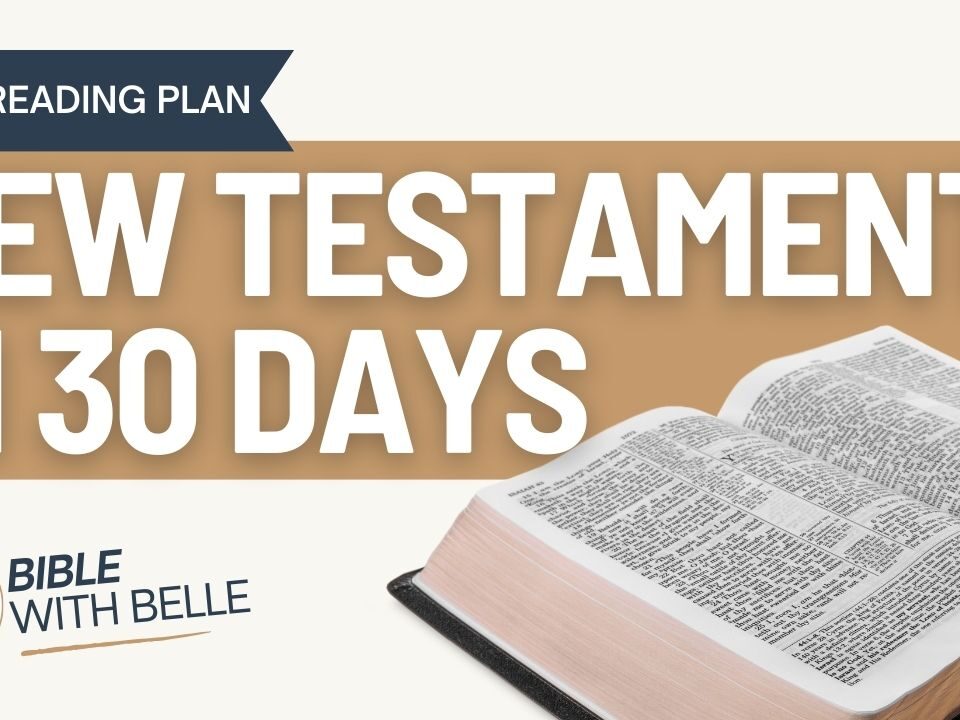 The New Testament in 30 Days: Bible Reading Plan