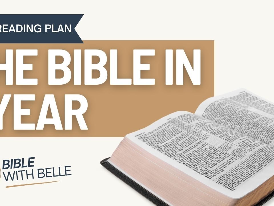 The Bible in One Year: Bible Reading Plan