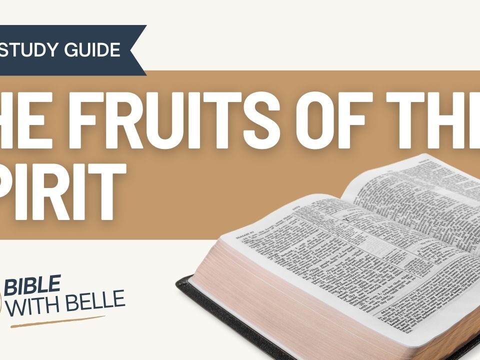 The Fruits Of The Spirit: Bible Study Guide