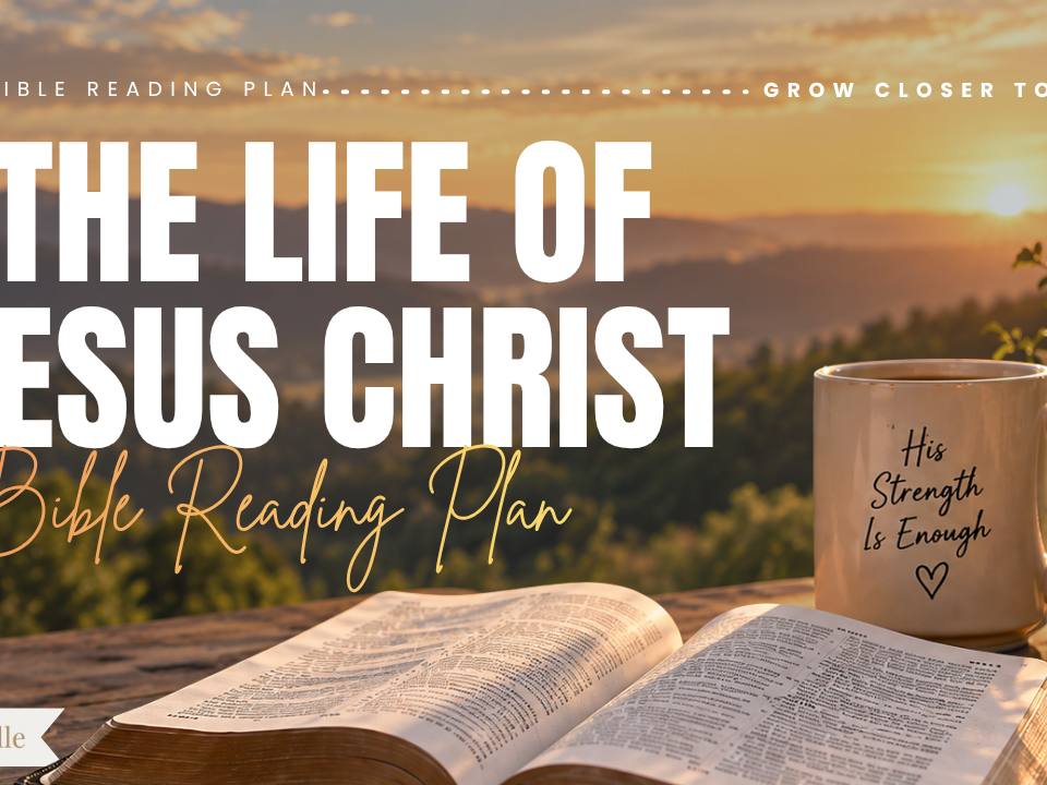 The Life Of Jesus: Bible Reading Plan