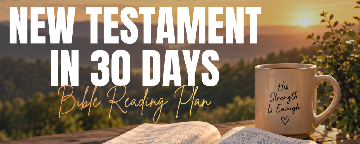 The New Testament in 30 Days Bible Reading Plan