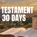 The New Testament in 30 Days Bible Reading Plan