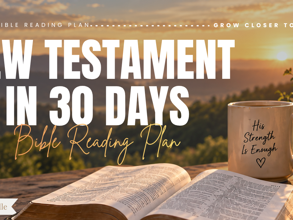 The New Testament in 30 Days Bible Reading Plan