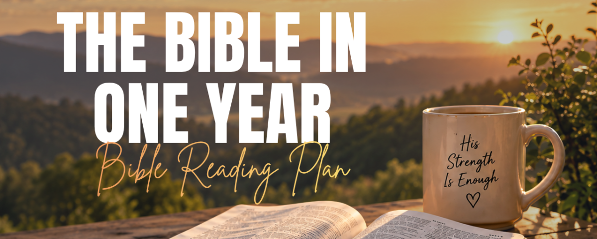 The Bible in One Year Bible Reading Plan