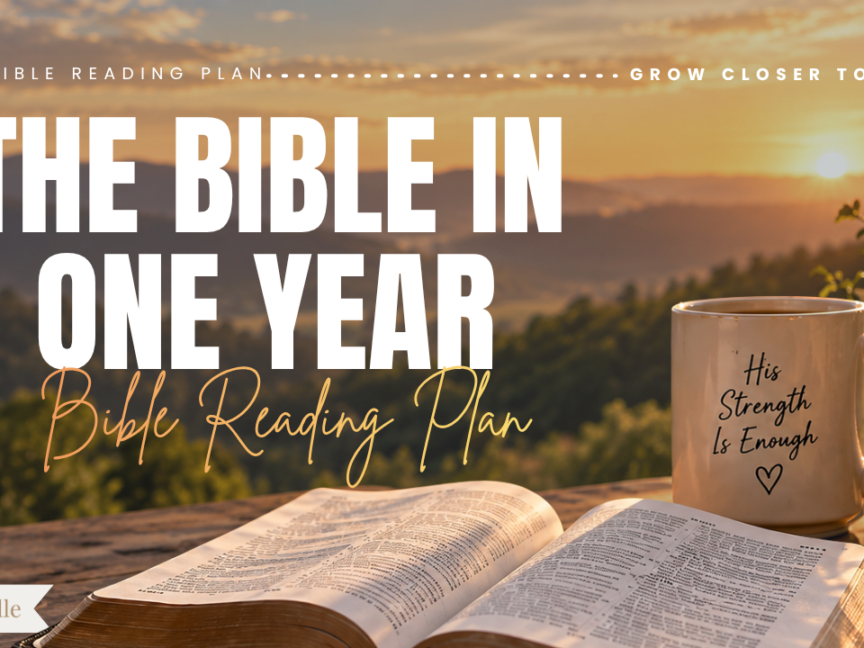 The Bible in One Year Bible Reading Plan