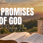 Promises Of God Bible Reading Plan