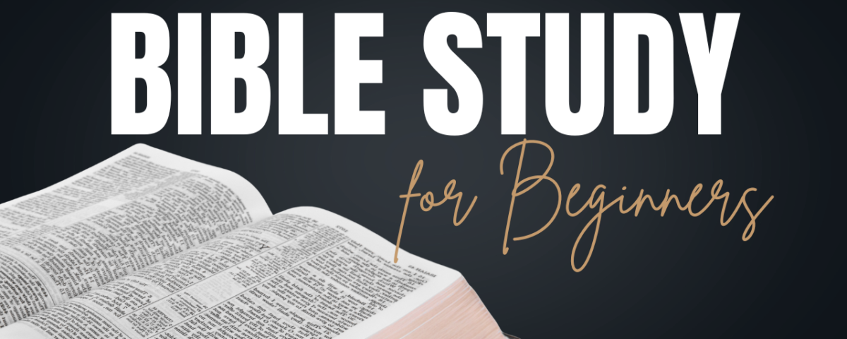 Bible Study For Beginners Bible Study Guide