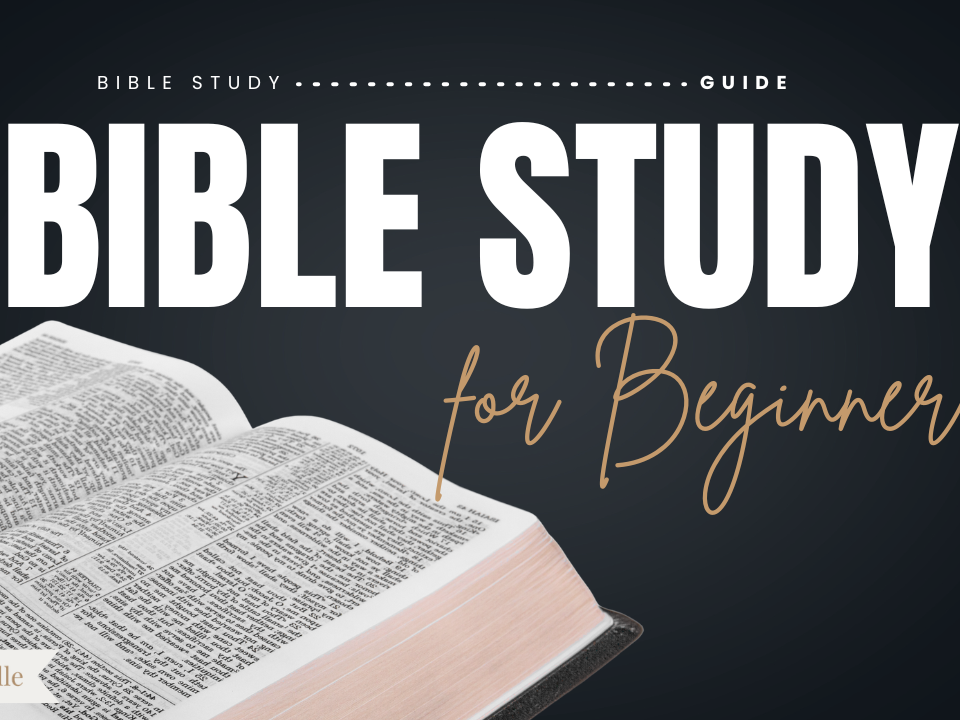Bible Study For Beginners Bible Study Guide