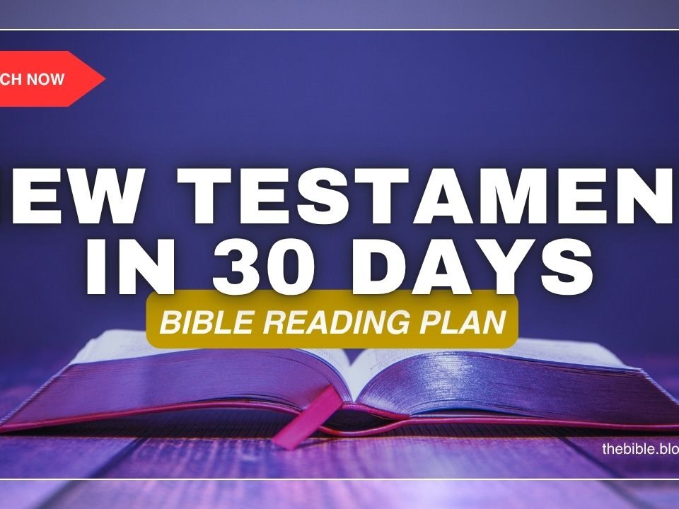 The New Testament in 30 Days: Bible Reading Plan
