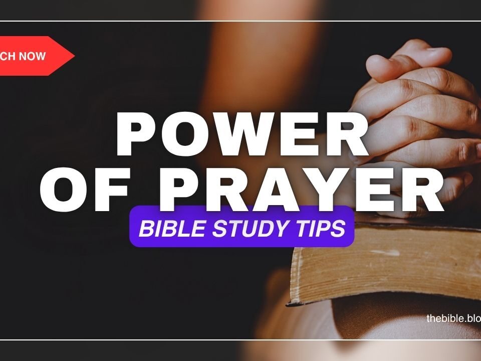 The Power of Prayer in Bible Study: How to Pray Before, During, and After