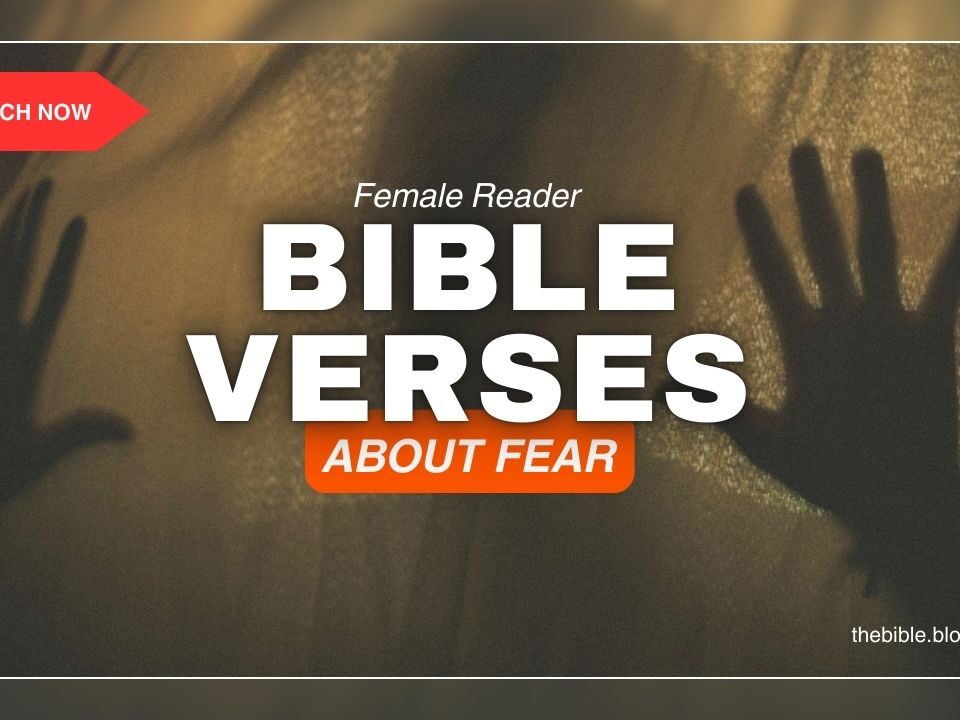Bible Verses With Fear