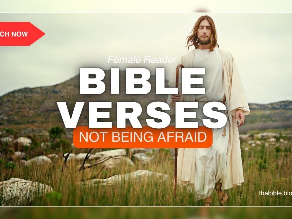 Bible Verses About Not Being Afraid