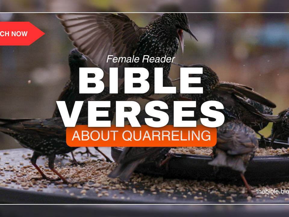 Bible Verses About Quarreling