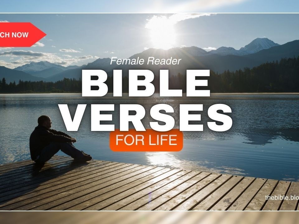 Bible Verses For Life