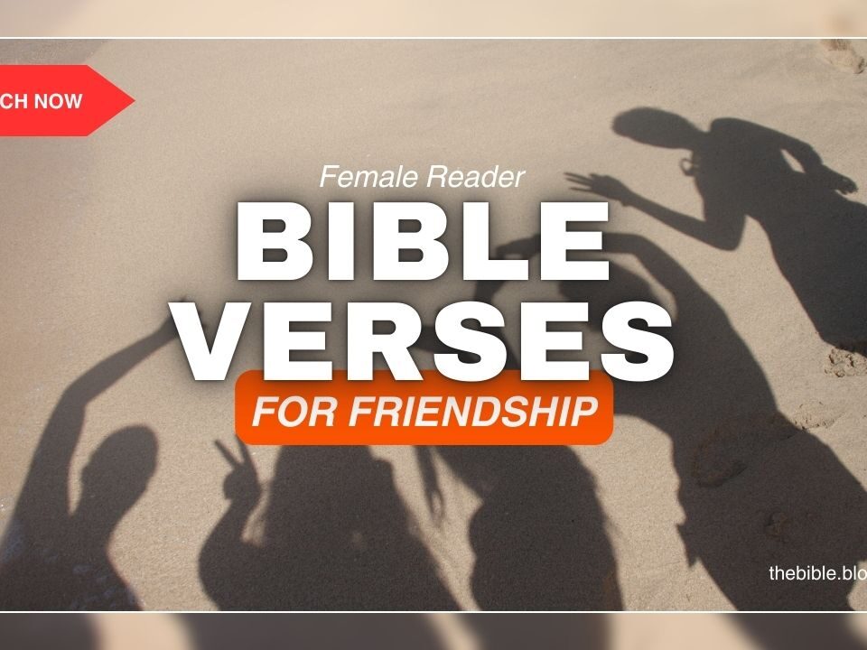 Bible Verses For Friendship