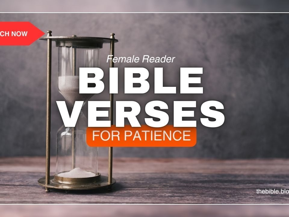 Bible Verses For Patience