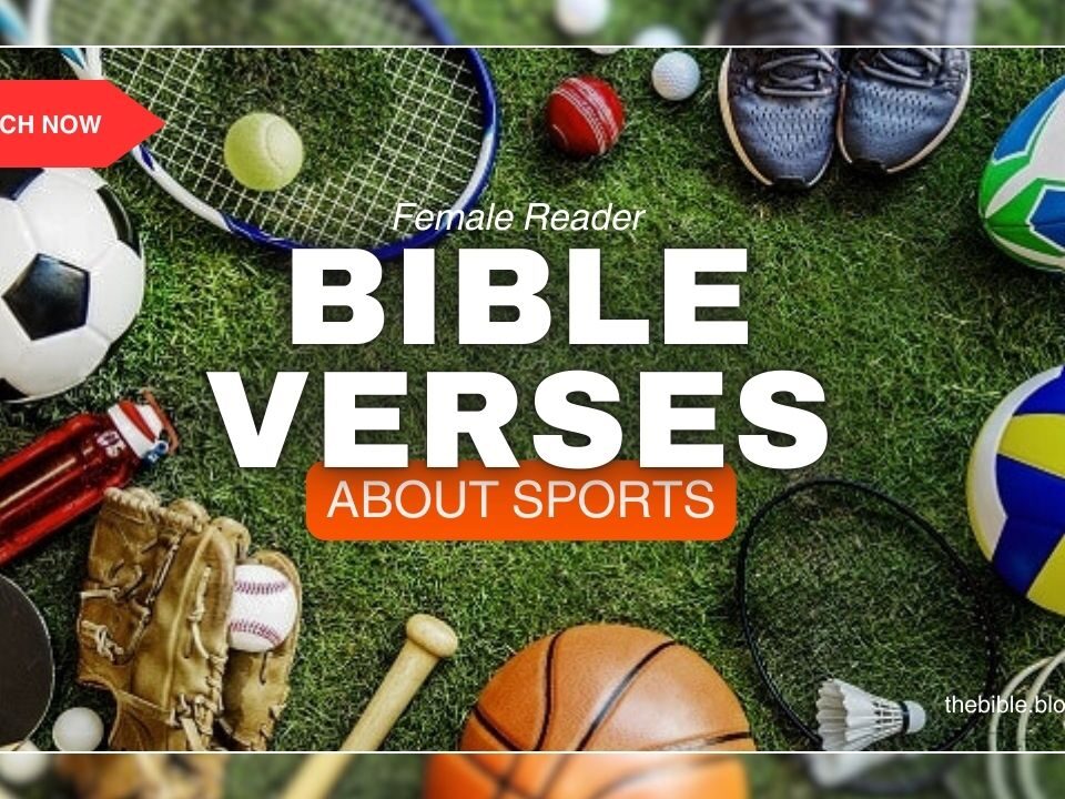 Bible Verses For Sports