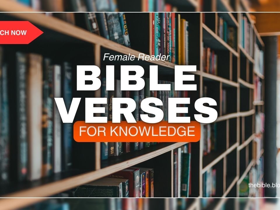 Bible Verses For Knowledge - Get Into Gods Powerful Word