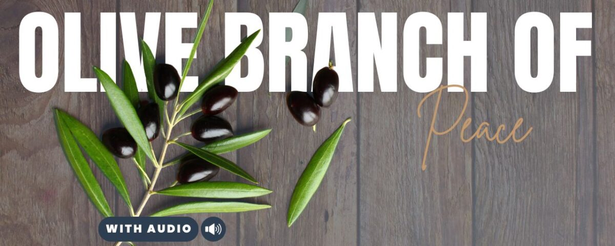 Bible Verses With Olive Branch