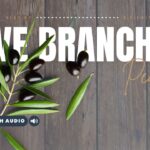 Bible Verses With Olive Branch