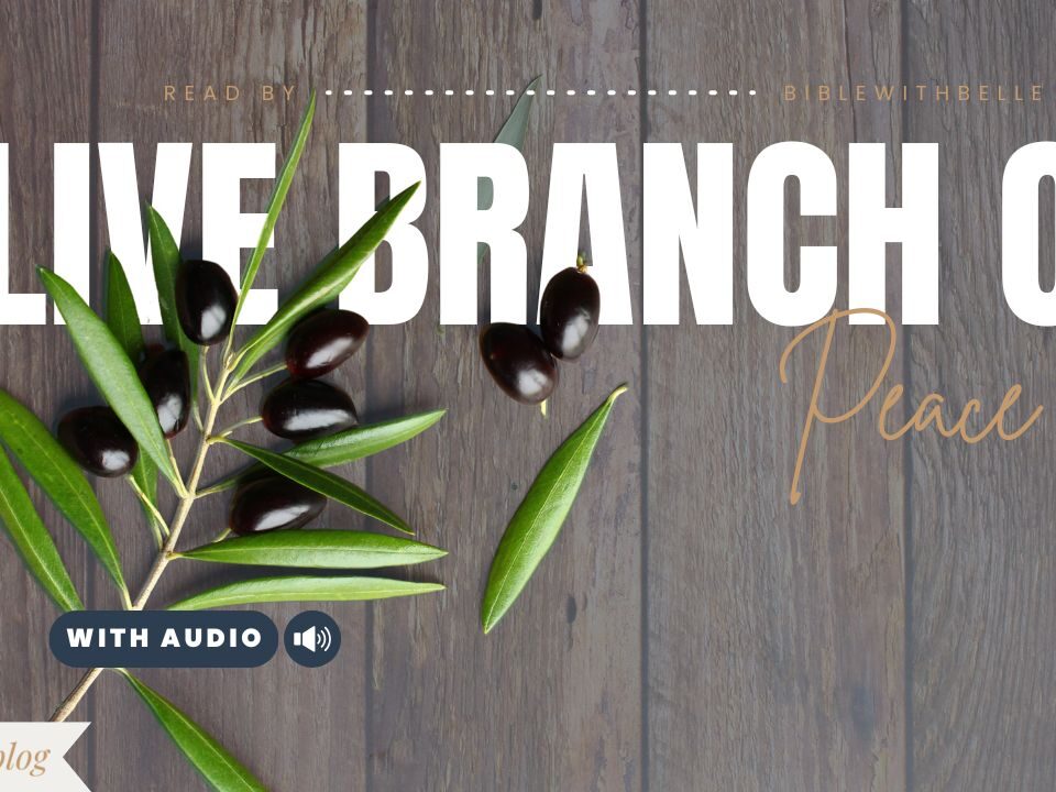 Bible Verses With Olive Branch