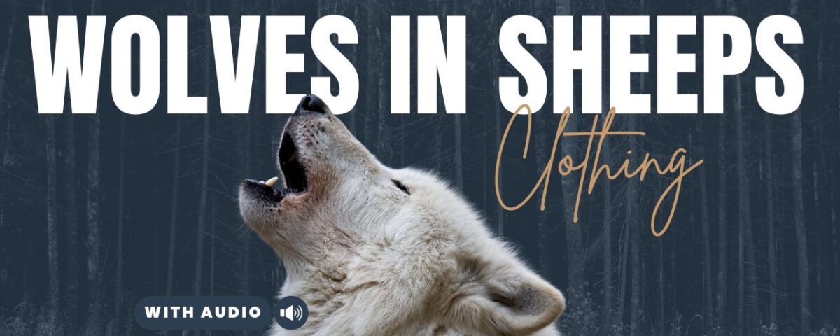 25 Important Bible Verses about False Teachers