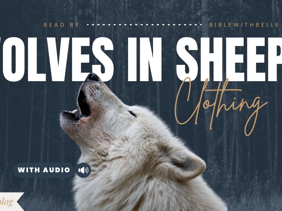 25 Important Bible Verses about False Teachers