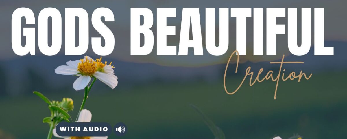 Bible Verses About Nature's Beauty