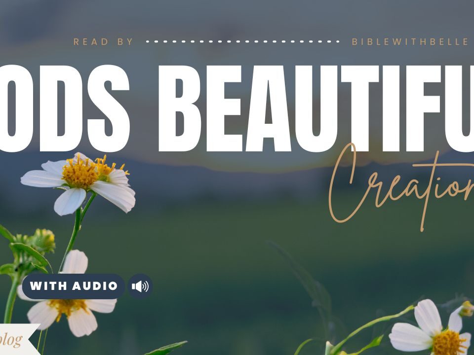 Bible Verses About Nature's Beauty