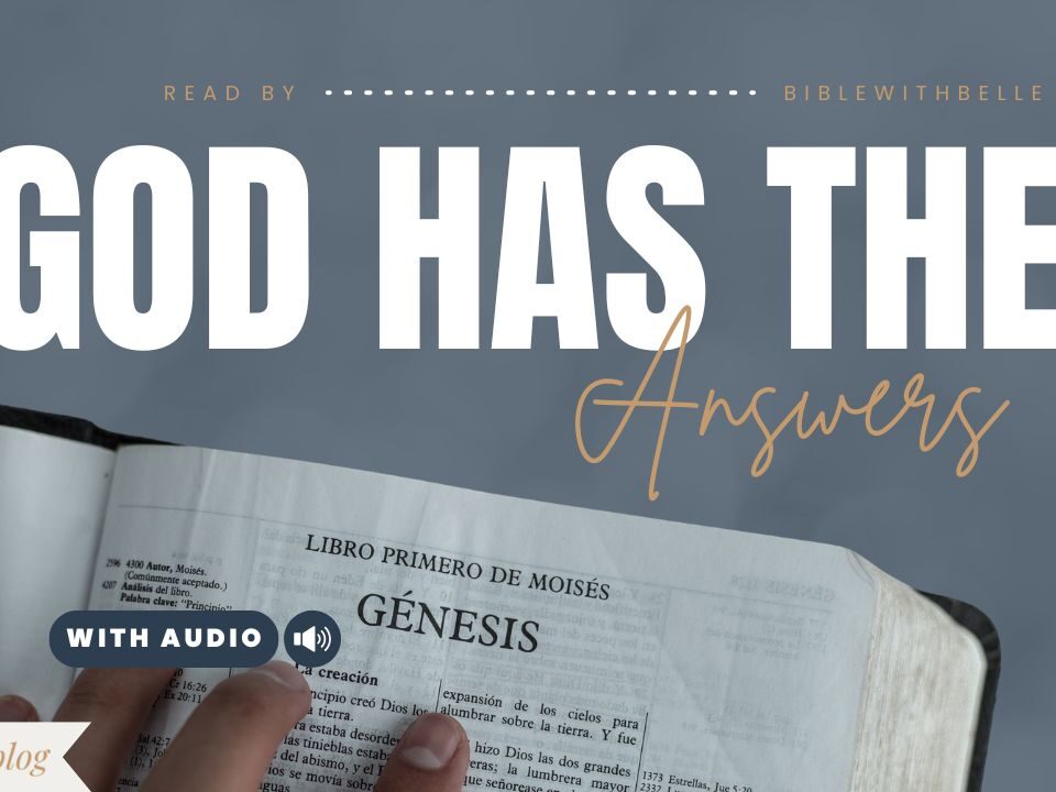 Bible Verses About Questions