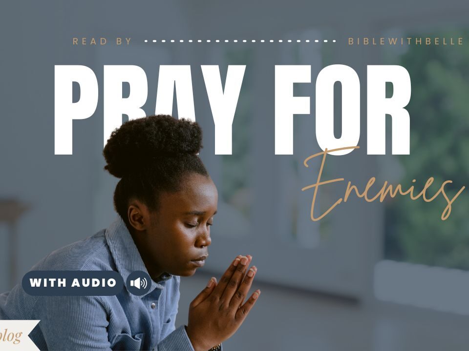 Bible Verses About Your Enemies