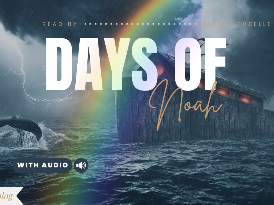 Bible Verses About Noah And The Flood