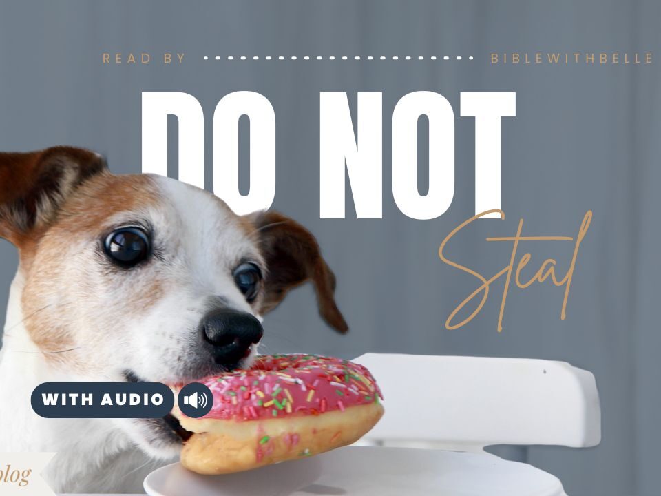 Bible Verses About 8th Commandment