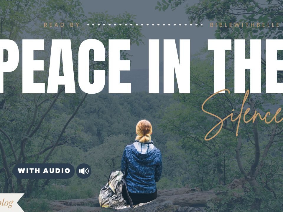 Bible Verses About Quiet