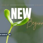 Bible Verses About Number 8