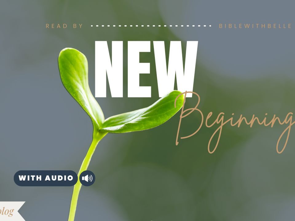 Bible Verses About Number 8