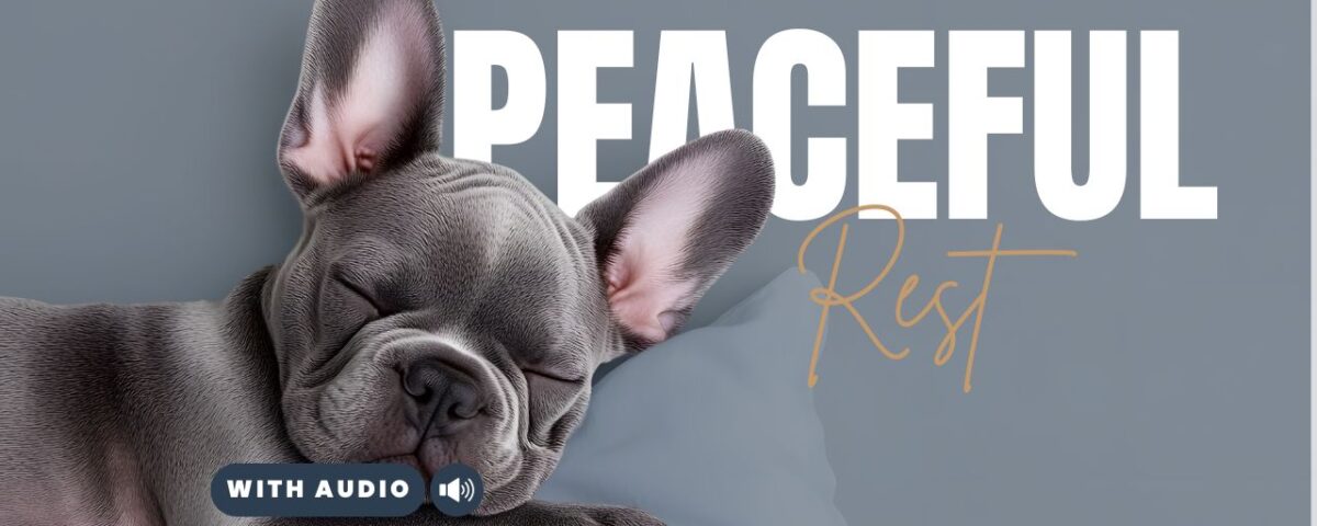 Bible Verses For Sleep