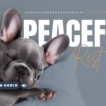 Bible Verses For Sleep