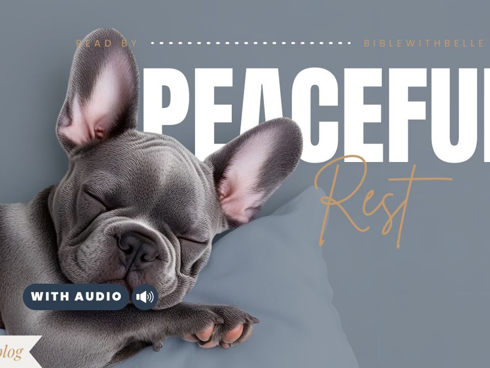 Bible Verses For Sleep