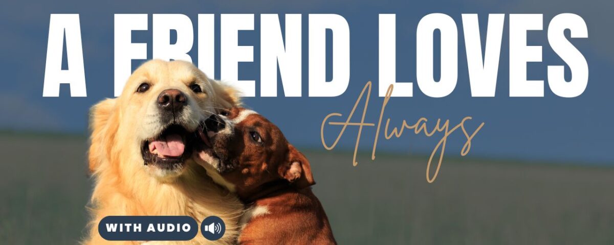 Bible Verses For Friendship