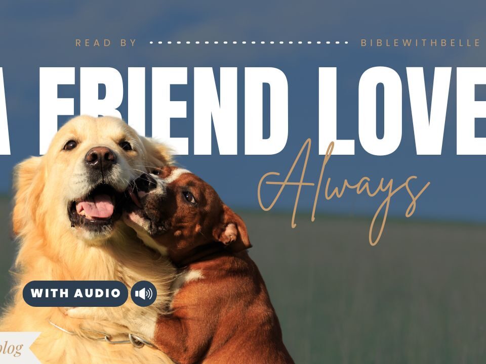 Bible Verses For Friendship