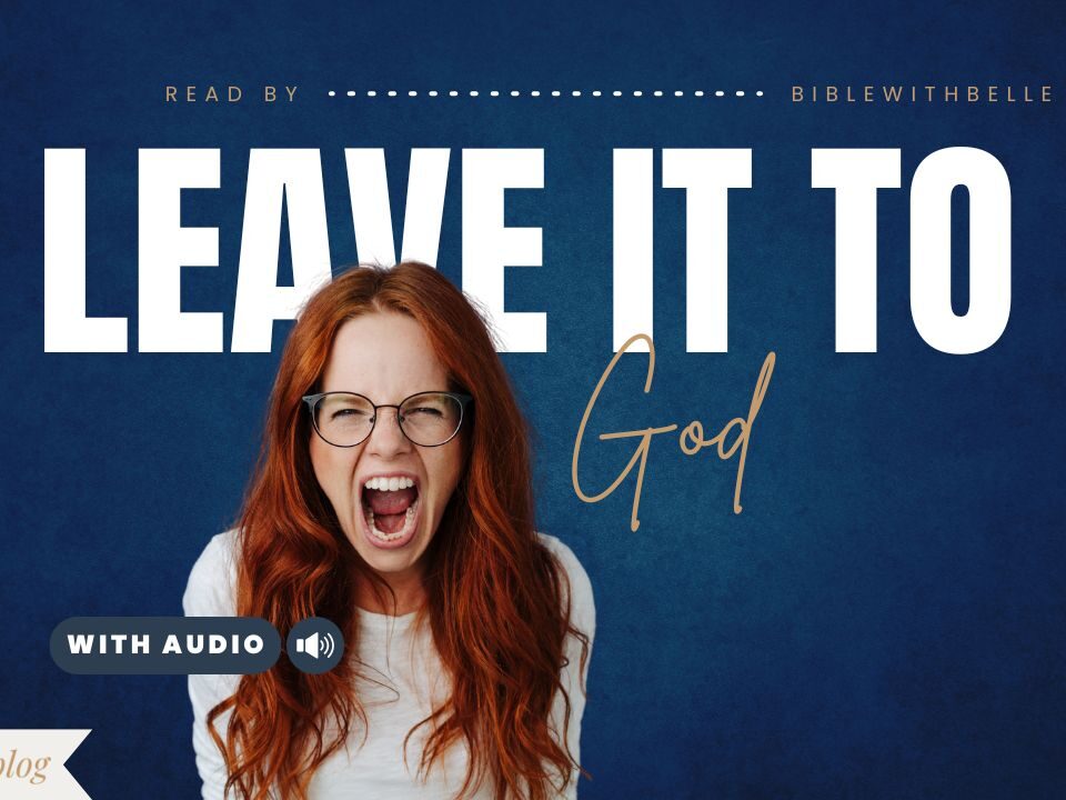 Bible Verses For Vengeance