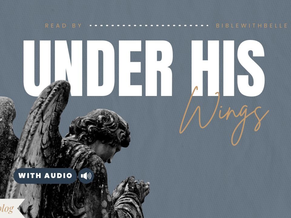 Bible Verses For Protection