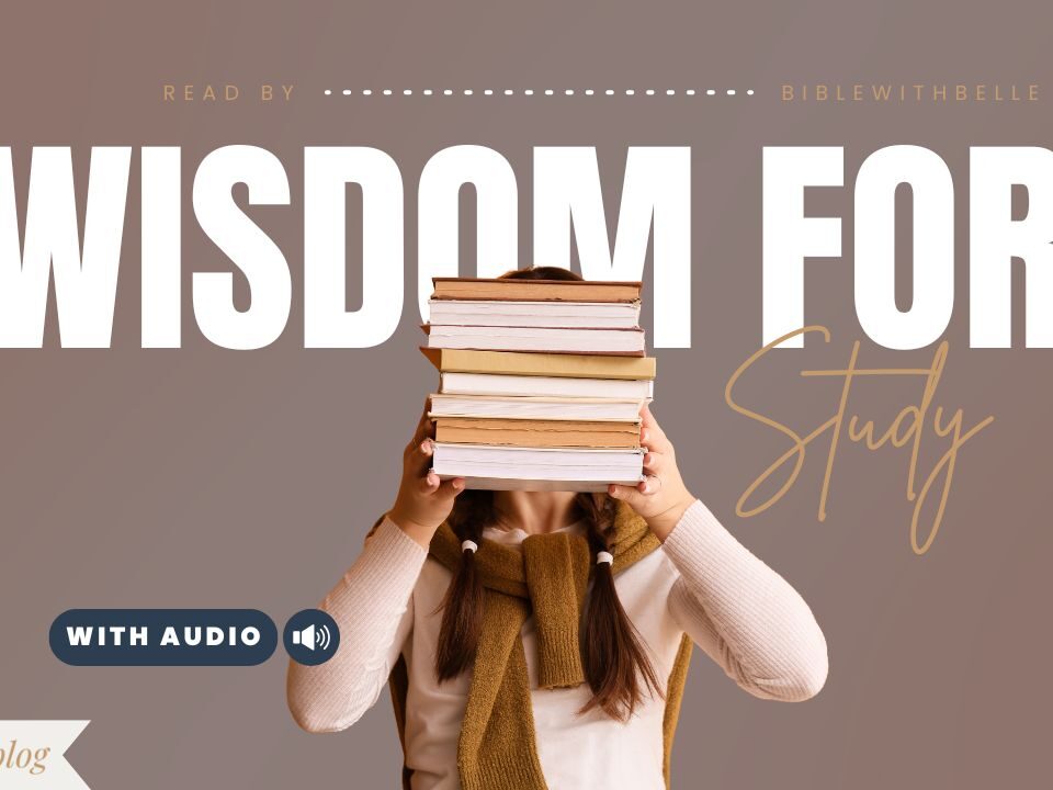 Bible Verses For Students