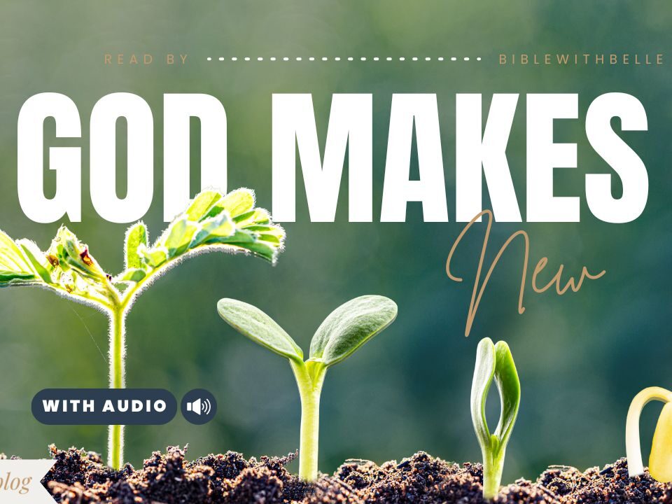 Bible Verses For New Beginnings