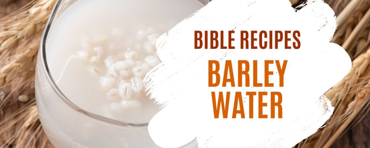 Barley Water Recipe