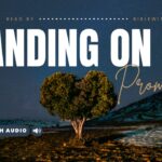 Bible Verses With Promises