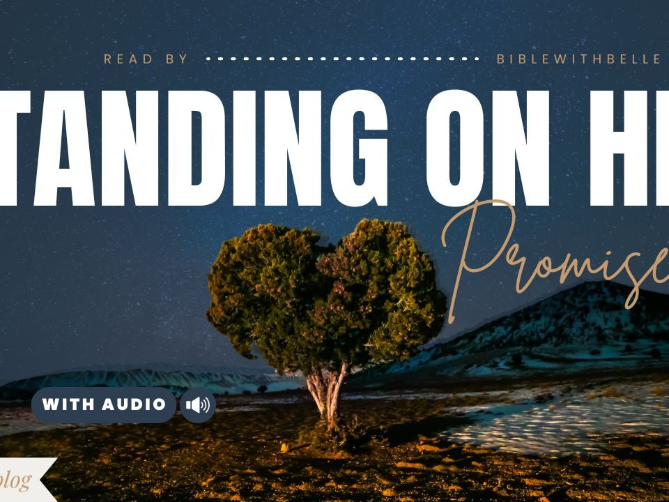 Bible Verses With Promises