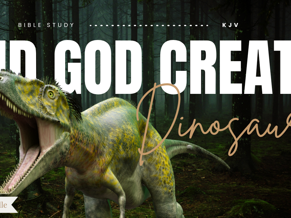 What Does the Bible Say About Dinosaurs